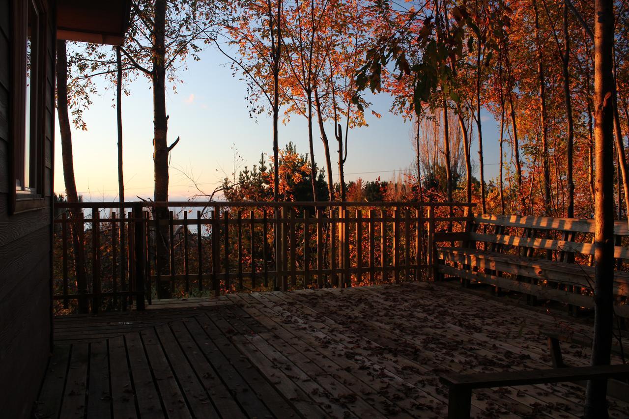Cabanas Mas Ke Miel Población Población Lago Ranco エクステリア 写真